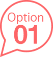 option1